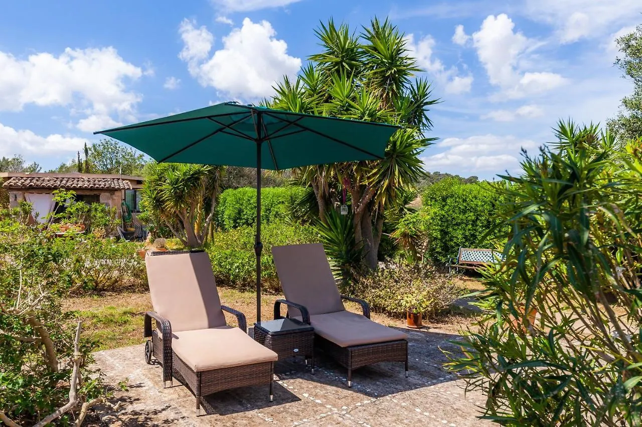 Only Adults App Osten Mallorca Son Macia  0*, Son Macia (Mallorca)